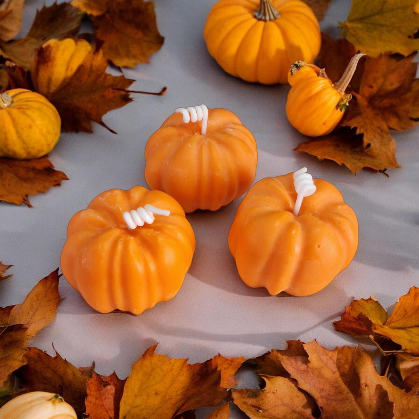 Coffret 3 Citrouilles