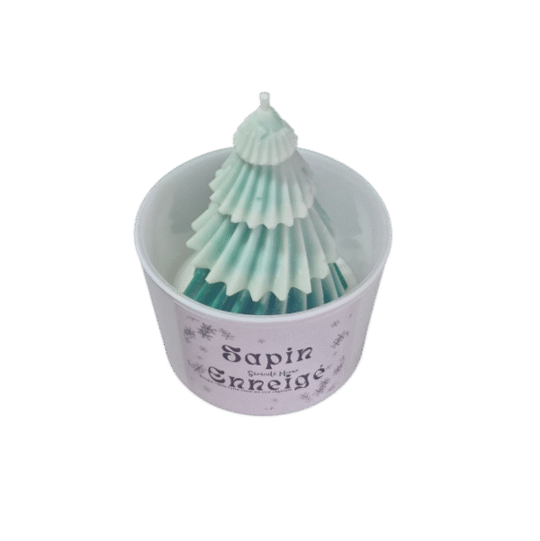 Sapin Enneigé