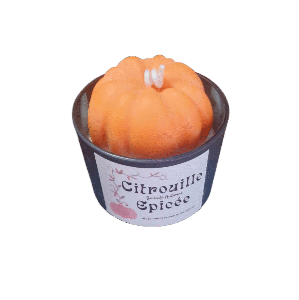 Citrouille Epicée