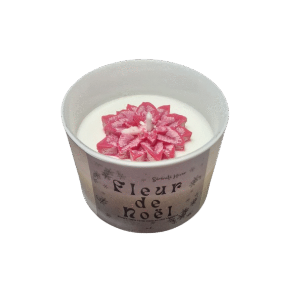 Fleur de Noël