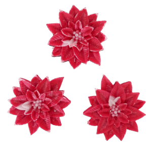 Fondants Fleurs de Noël