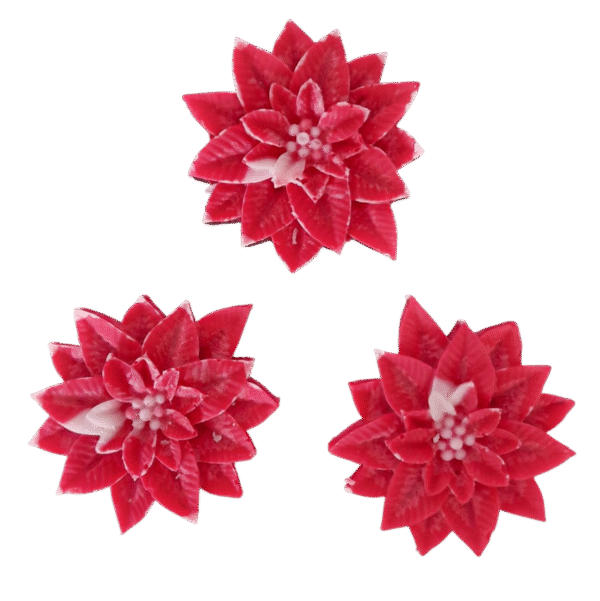 Fondants Fleurs de Noël