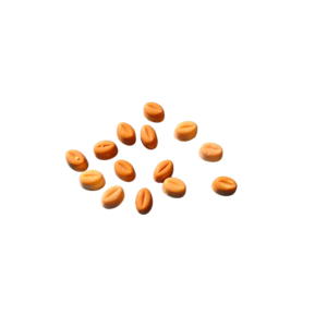 Fondant Café du Brésil