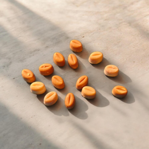 Fondant Café du Brésil